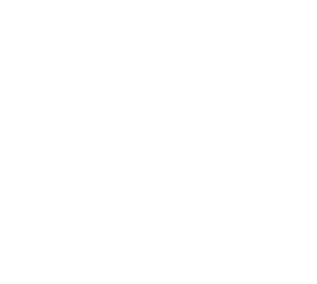 U.S. Air Force symbol